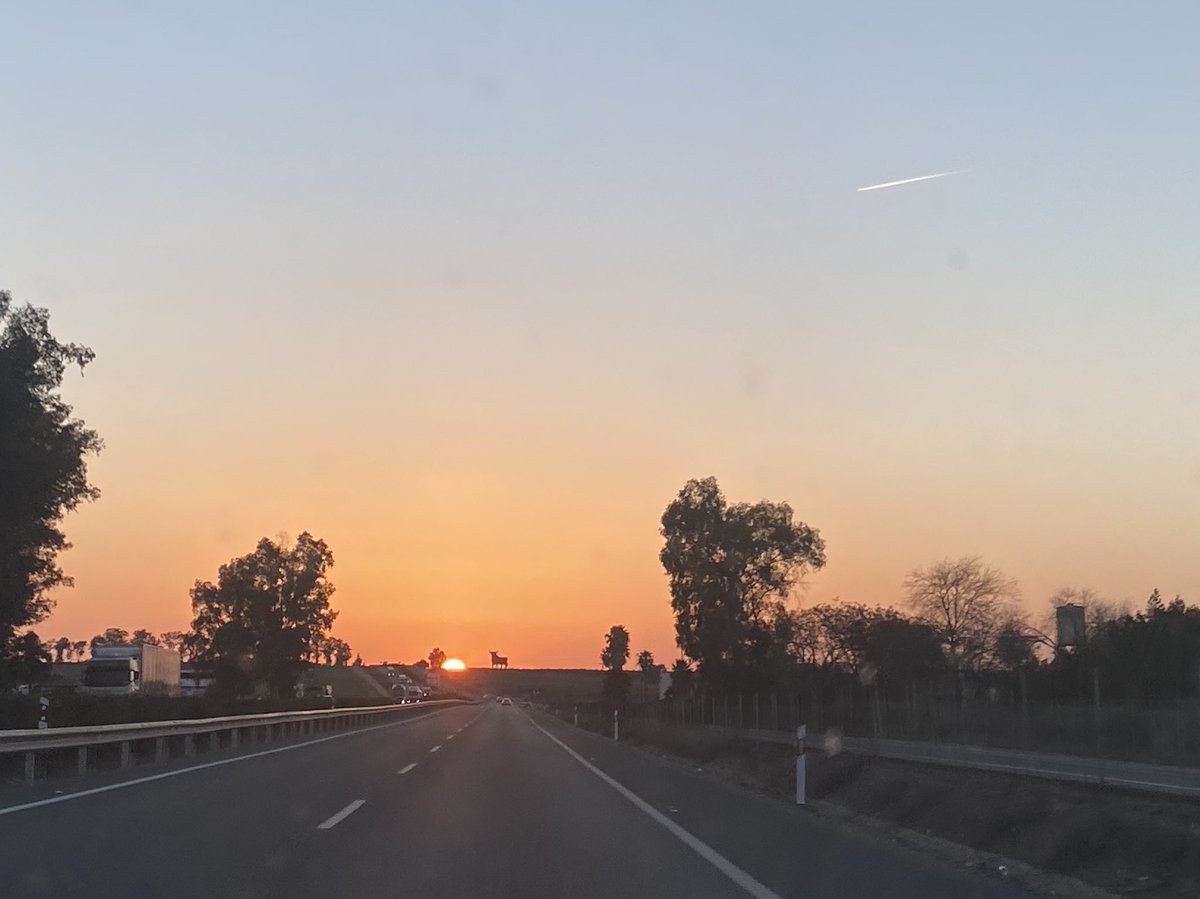 Adrian (@adriantroncosor) on Twitter photo 