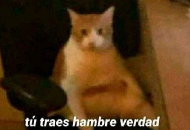 AaronPuga18's tweet photo. Veo que mi novia está enojada después de que le fui infiel

Yo: .... https://t.co/WOCYun1p4b