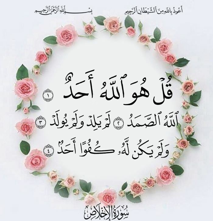 Bnt___Mohamed's tweet photo. صدقة جارية لـ بابا وماما 🌸❤️✨ 
ربى ارحمهم واغفر لهم واجعلهم من أهل الجنه 🤲❤️ https://t.co/DpDouABAaJ