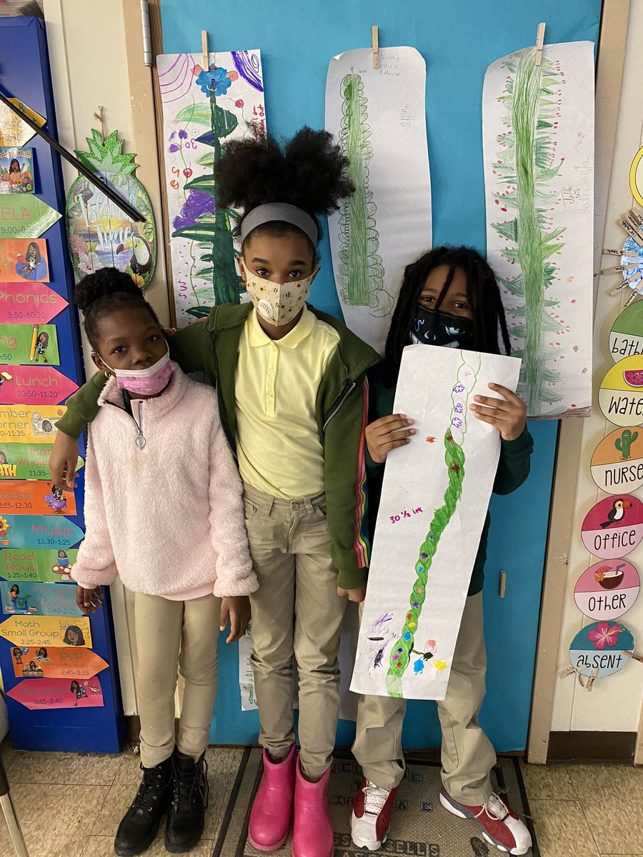To get some practice with measurement, we created our own beanstalks and measured the length of the entire beanstalk as well as the length of each leaf. We used this data to create a line plot.