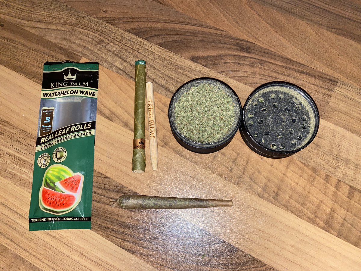 Bout to smoke a king palm to get higher than a Stoner ape in a palm tree 🌴 #cannabis #StonerFam #SAC <a href="/StonerApeClub/">Stoner Ape Club</a>