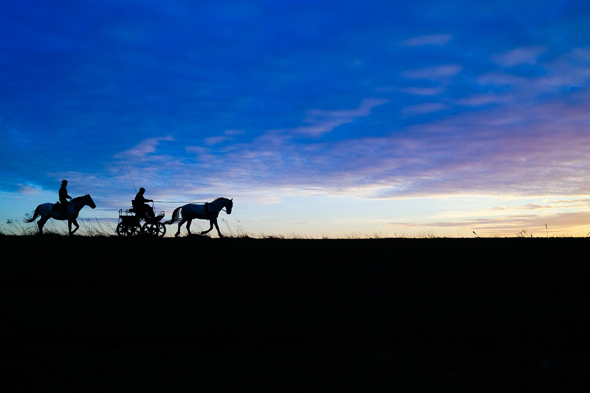FleetingPicture's tweet photo. Blue Hour 
#bluehour #silhouette #streetphotography #thenetherlands #nature https://t.co/lehsgVa5dj