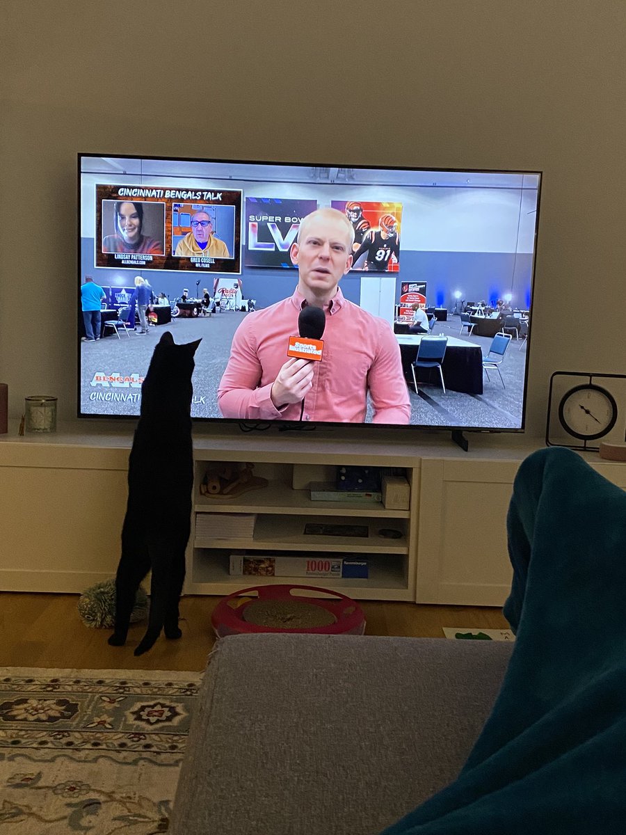 MsRobinGriffin's tweet photo. Olivia is very interested in all of the Bengals press🤣 @JamesRapien #BengalsNation @Bengals @AllBengals https://t.co/u3NsEEzP0R