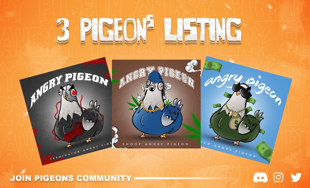 AngryPigeon tweet media