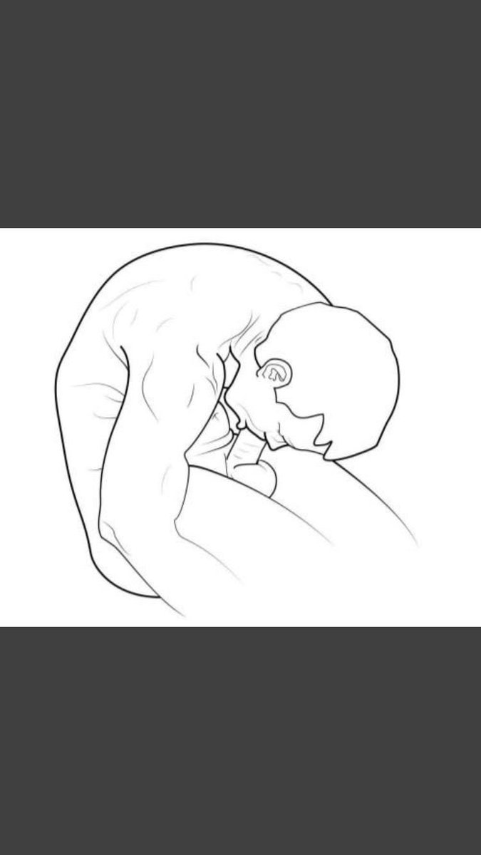 Scott Watson tweet media