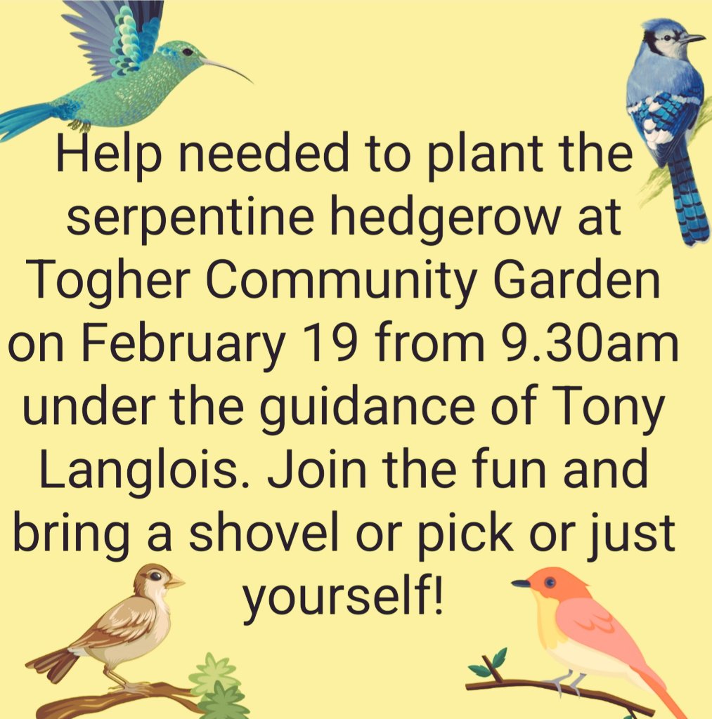 Come and join the fun, record the date, Saturday February 19, supported by Trees Please. Plant for nature  @CorkEnvForum <a href="/CorkFoodPolicy/">Cork Food Policy</a> <a href="/GardenTogher/">Togher Community Garden</a> <a href="/TFC_Cork/">Togher Family Centre</a> <a href="/irishexaminer/">Irish Examiner</a> <a href="/corkbeo/">Cork Beo</a> <a href="/ScholarleeCork/">ScholarLee Student</a> <a href="/TogherT/">Tidy Towns Togher (TTT)</a> <a href="/BallyphehaneT/">Ballyphehane Tidy Towns</a> <a href="/Lesterleapsin/">Tom Jordan</a> <a href="/tomartyc/">tom campbell</a> <a href="/murfymom/">Sinéad Murphy(Doolan)</a>