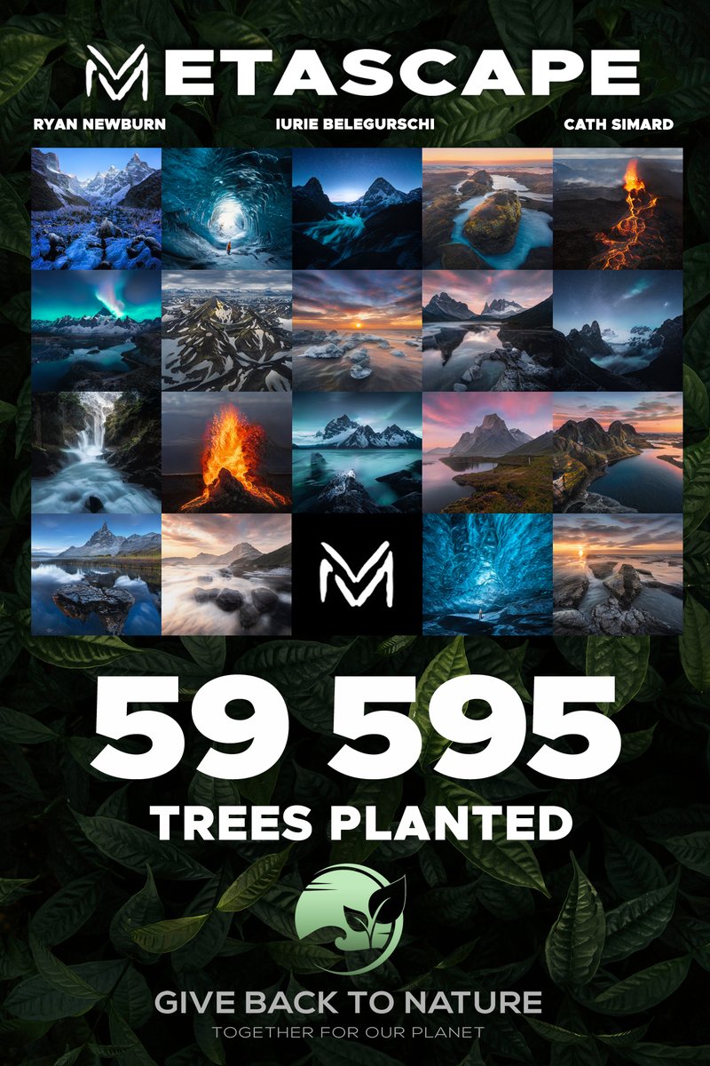 Di Fruscia tweet media