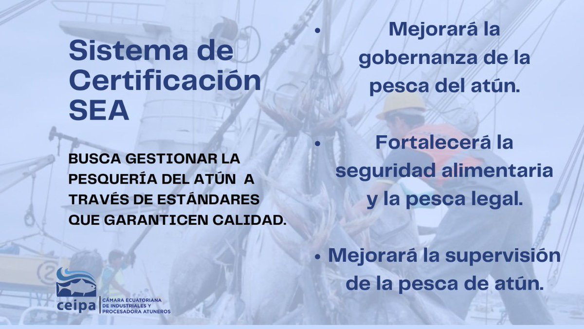 CEIPA_Ecuador's tweet photo. #CEIPATeCuida 🇪🇨 Hoy nuestra directora ejecutiva de #CEIPA @MonicMaldonadoS presentó los objetivos y mecanismos de implementación del Sistema de Certificación #SEA al Ministerio de @Produccion_Ecu.
¡Con esto avanzamos en los procesos para mejorar la pesquería del atún! 🐟🚢 https://t.co/0J302PQAqF
