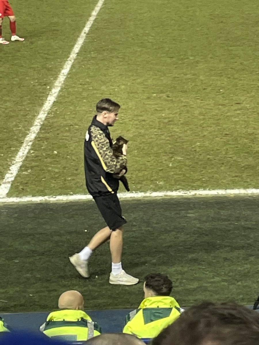freyalouise1992's tweet image. How every footballer should handle a cat … cutest pitch invader 🥰 #swfc #Zouma #westham