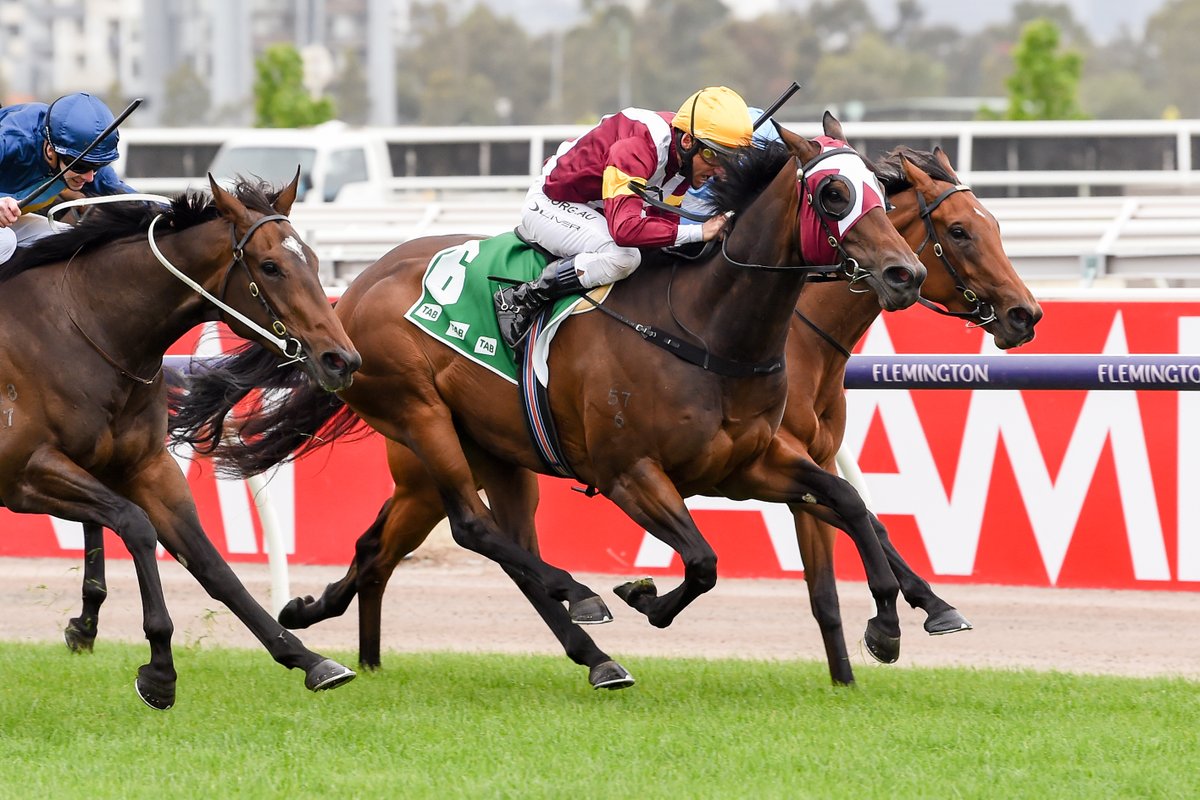 Festival of Racing tweet media