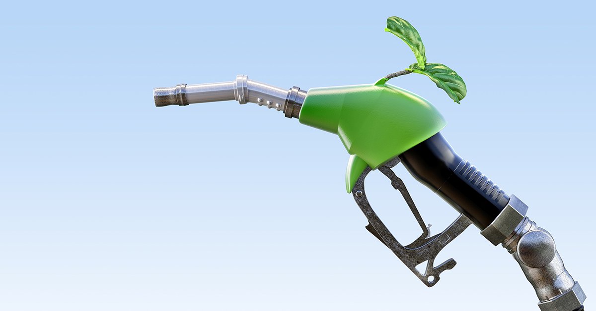 The_SEAlliance's tweet photo. Did you know SPA’s mission to reduce environmental impacts of physical #filmproduction extends to #renewable diesel?

Get more information on the GPG website: https://t.co/Rjd0oq2r8M #GPGinAction #SPAinAction #sustainableproduction #diesel #PGAGreen @pga_green https://t.co/BqEwEoCY6q