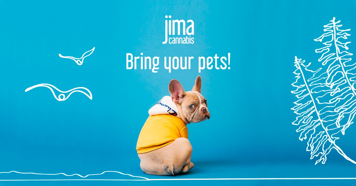 Jima Cannabis tweet media