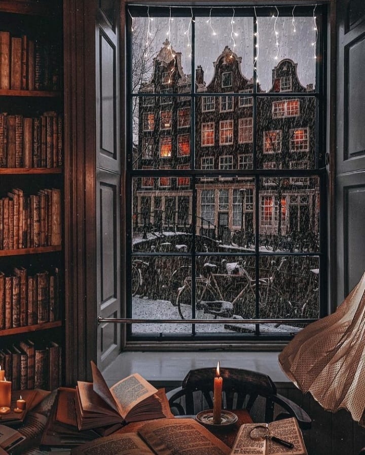 AcademiaAesthe1's tweet photo. Reading books and a feeling of comfort, warmth, and relaxation. https://t.co/tSxne0hRZW