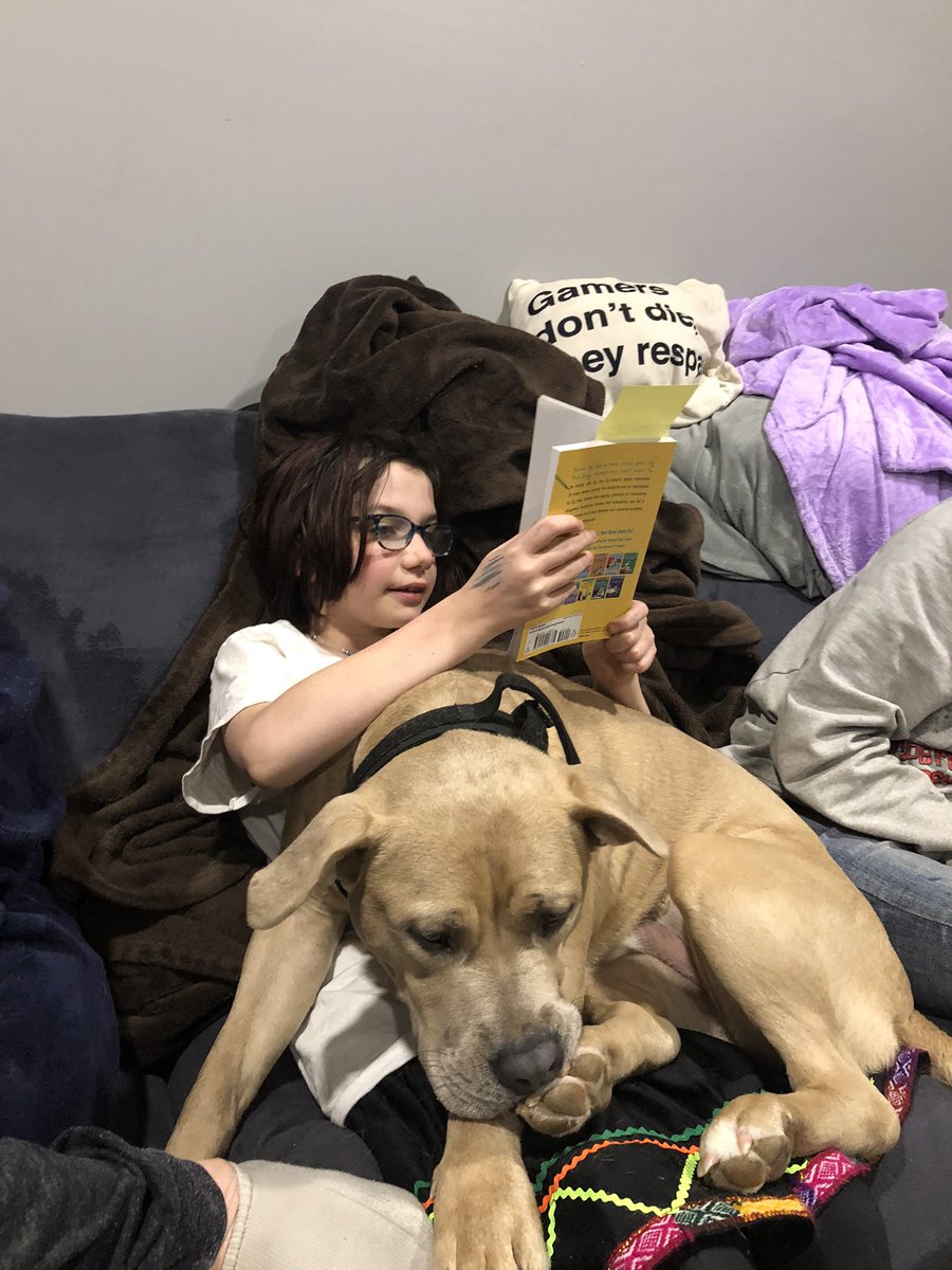Even the family pets get into story time during One District One Book! #family #friendship #humphrey #PachaLife <a href="/ShaullSharks/">Shaull Elementary</a> <a href="/CVSDnews/">Cumberland Valley SD</a> @MikeAzzalina5