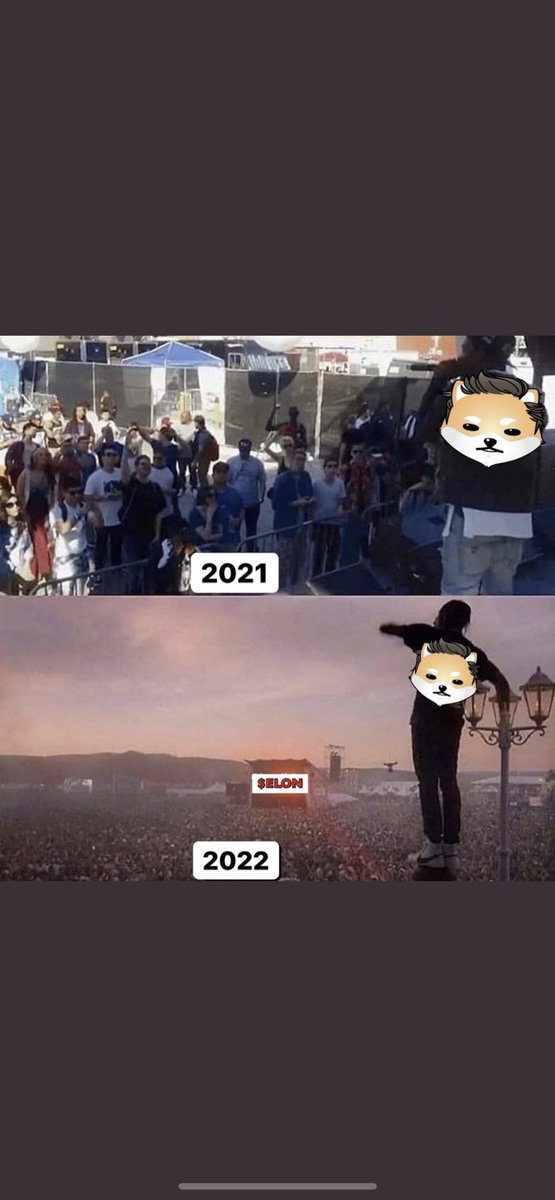 StonedDogElon's tweet photo. Yezzzirski #cryto #doge #Dogelon #nft #weed #marijuana #blazeit https://t.co/1gBqp9Z7Df