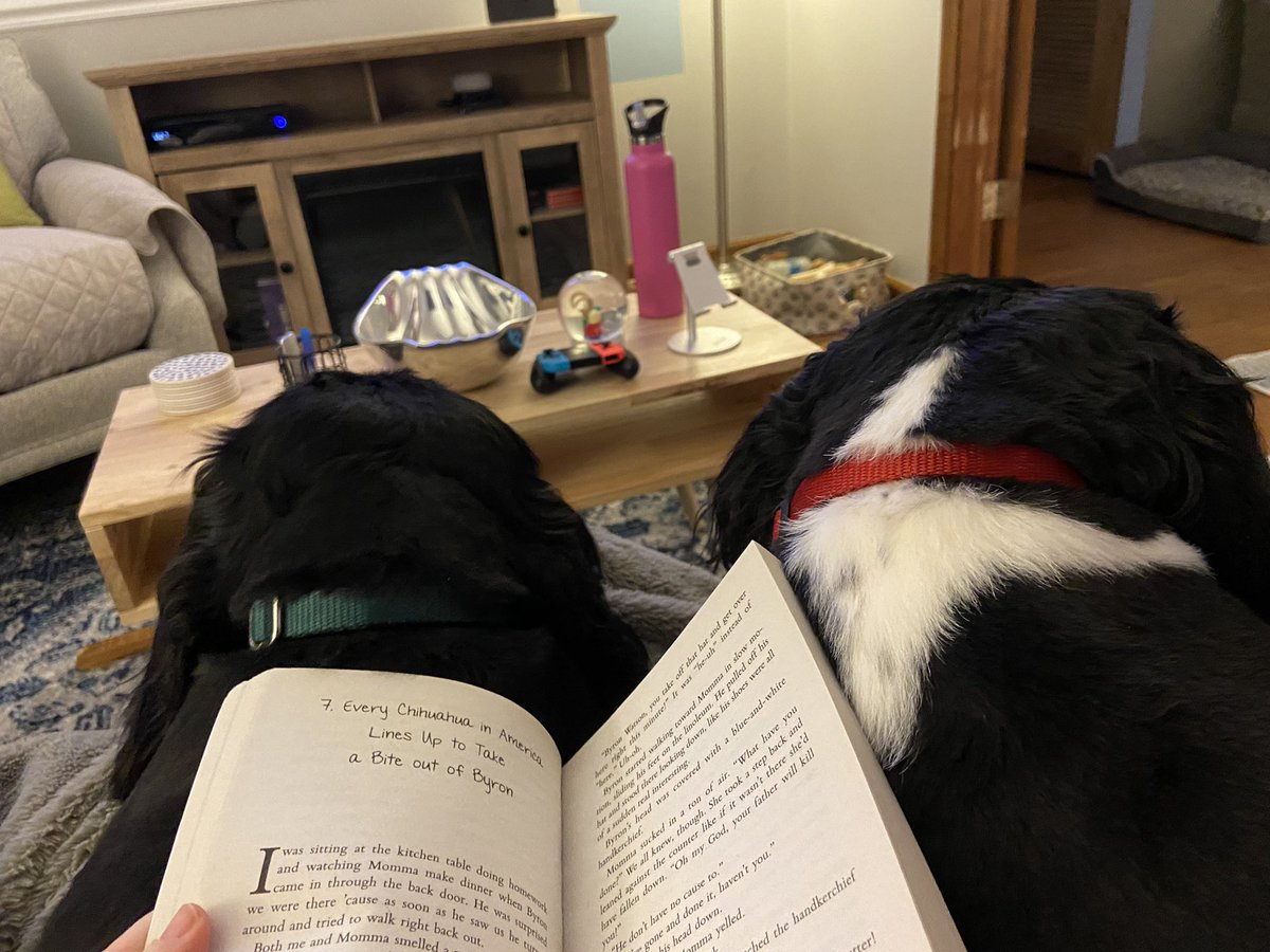 Elizabeth Tibble tweet media