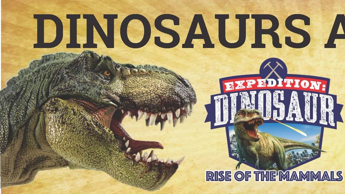 University of Hawaii at Hilo (@uhhilo) on Twitter photo 🦖Expedition Dinosaur: Rise of the Mammals!
Special traveling exhibit, Feb 9-March 27, Tues-Sunday, 9a-5p, ‘Imiloa Astronomy Center. Admission. Presented in partnership with <a href="/bishopmuseum/">Bishop Museum</a>
Tickets: imiloahawaii.org/dinosaurs-at-i… 🦖Expedition Dinosaur: Rise of the Mammals!
Special traveling exhibit, Feb 9-March 27, Tues-Sunday, 9a-5p, ‘Imiloa Astronomy Center. Admission. Presented in partnership with <a href="/bishopmuseum/">Bishop Museum</a>
Tickets: imiloahawaii.org/dinosaurs-at-i…