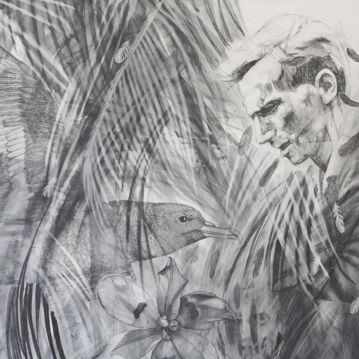 tasmuseum's tweet photo. This Friday 11 February, we say goodbye to Lucienne Rickard’s Ecology Studies – don’t miss your last chance to see it. In its place, we are excited to announce the return of Extinction Studies from Friday 18 February!

#tmag #EcologyStudies #finaldays #ExtinctionStudies #art https://t.co/risrMGa3CA