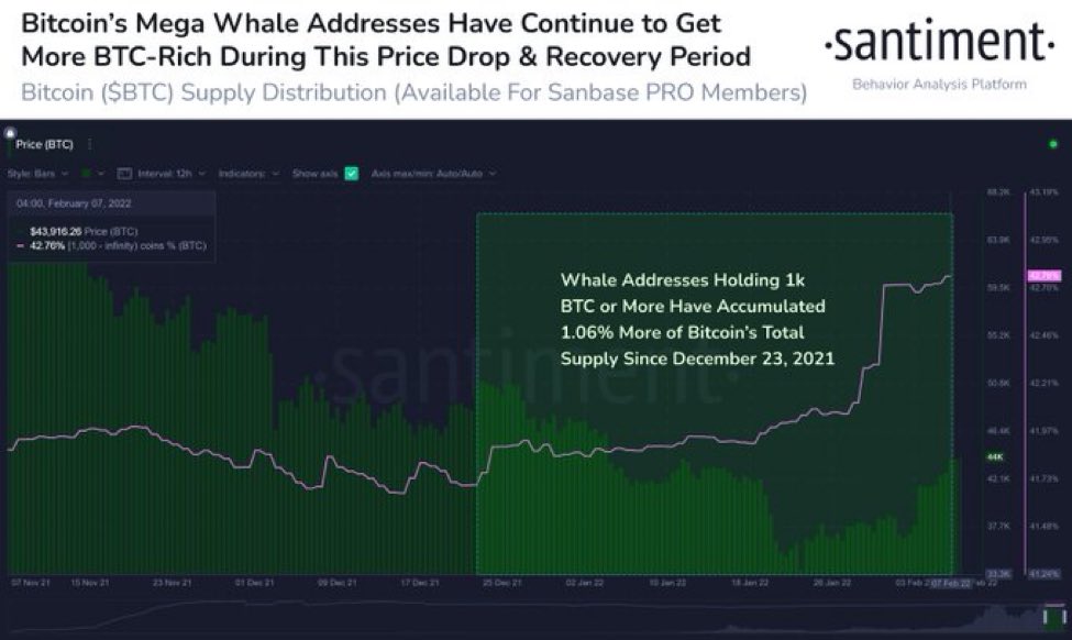 crypto_birb's tweet photo. Whales keep accumulating #Bitcoin (courtesy of @santimentfeed) https://t.co/dJRSGiJvIq