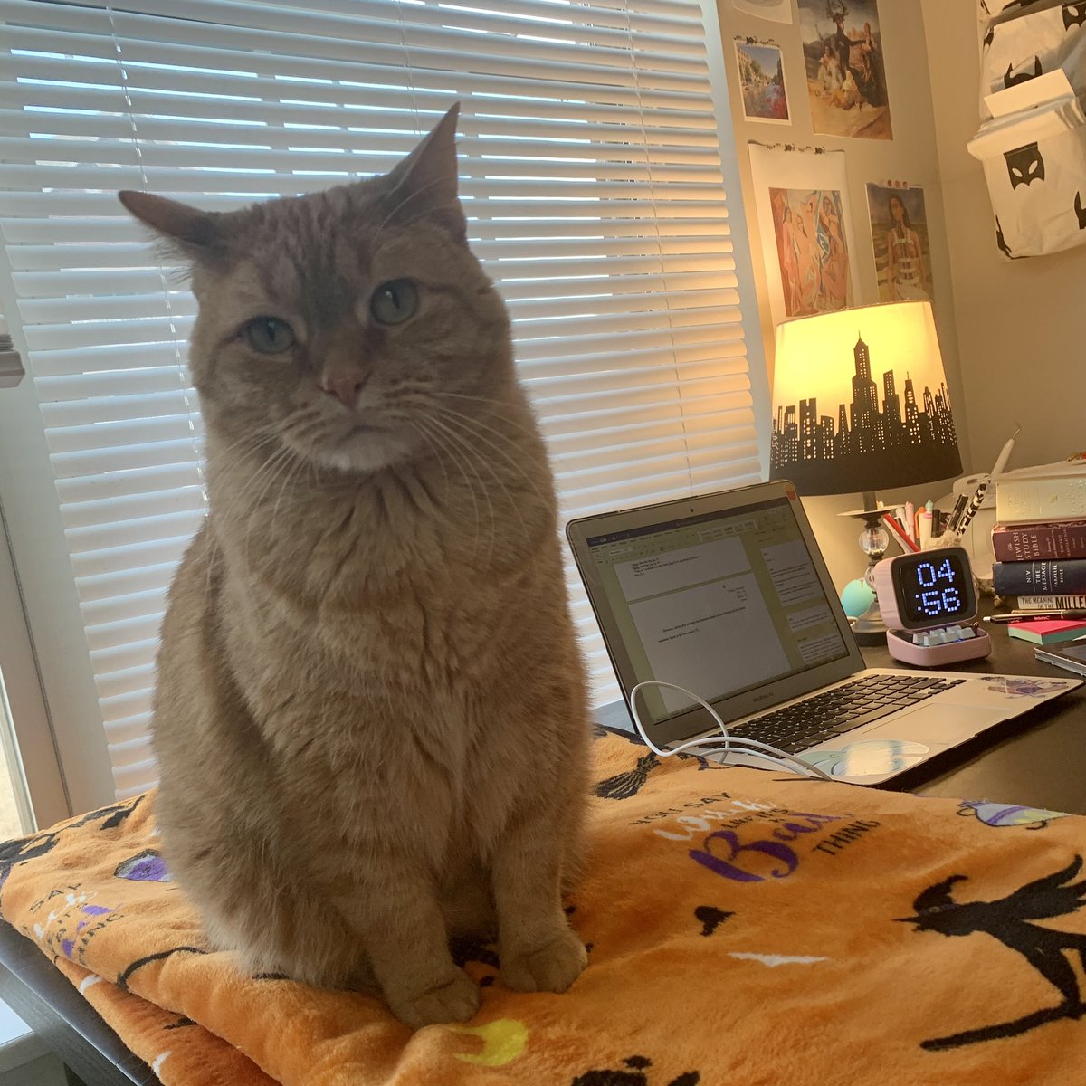 Kelsey Thurman tweet media