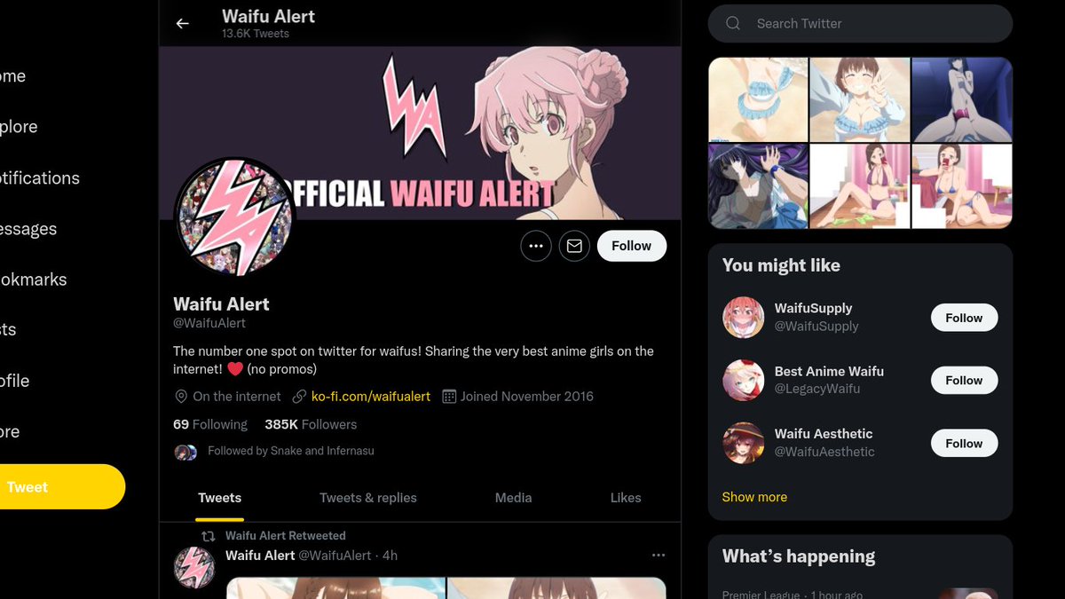 auto tweet media