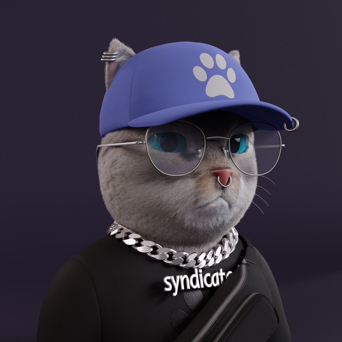 SyndicatedClub's tweet photo. In a cpl hours we’ll be choosing our first ever 50 WL spots ! We’re so happy with our new community and all the support you’ve given our last few posts. Some of you will be whitelisted!! Lets all smash that retweet for Syndicated Paul,
(The CatNip Dealer) 😸💸 Purrr  #syndicats https://t.co/rIrpOqnrtl