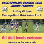 Photo by Castlepollard Camogie (@CastlepollardC)
