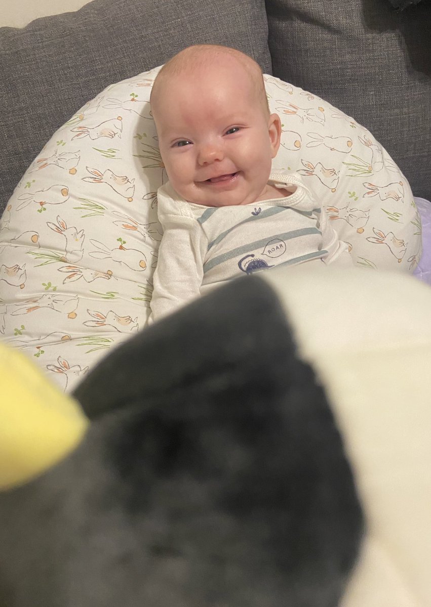 ummitslindsay's tweet photo. Find someone who looks at you like Brooke looks at squishmallow cows https://t.co/p0qKNNjD2t