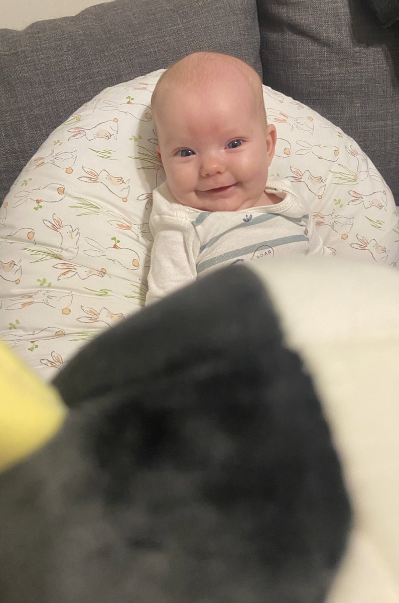 ummitslindsay's tweet photo. Find someone who looks at you like Brooke looks at squishmallow cows https://t.co/p0qKNNjD2t