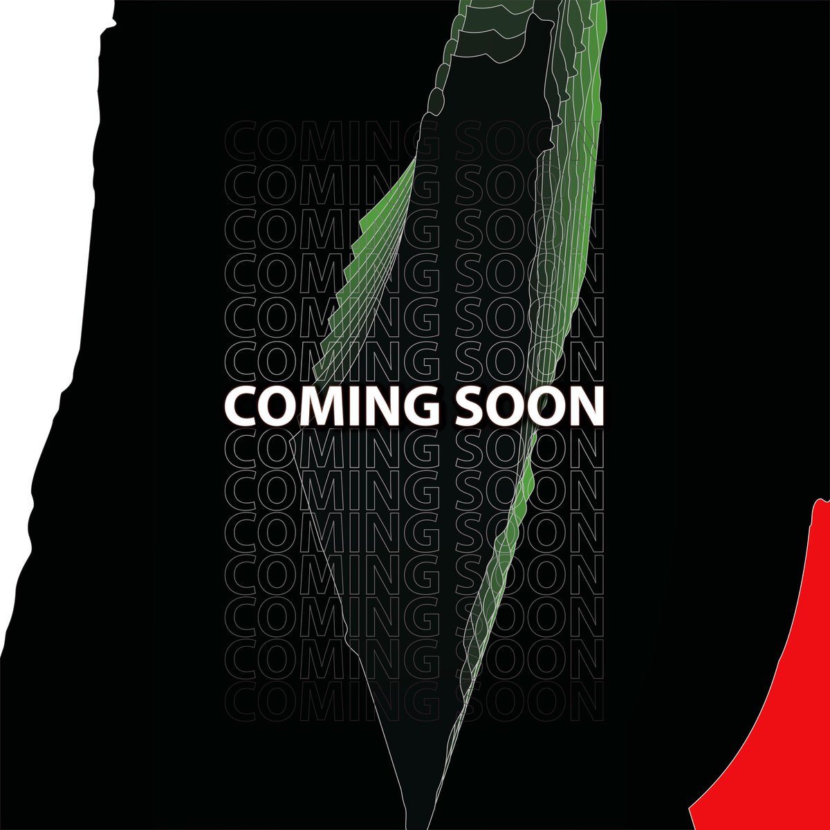 Glimpse of Hope 🇵🇸 tweet media