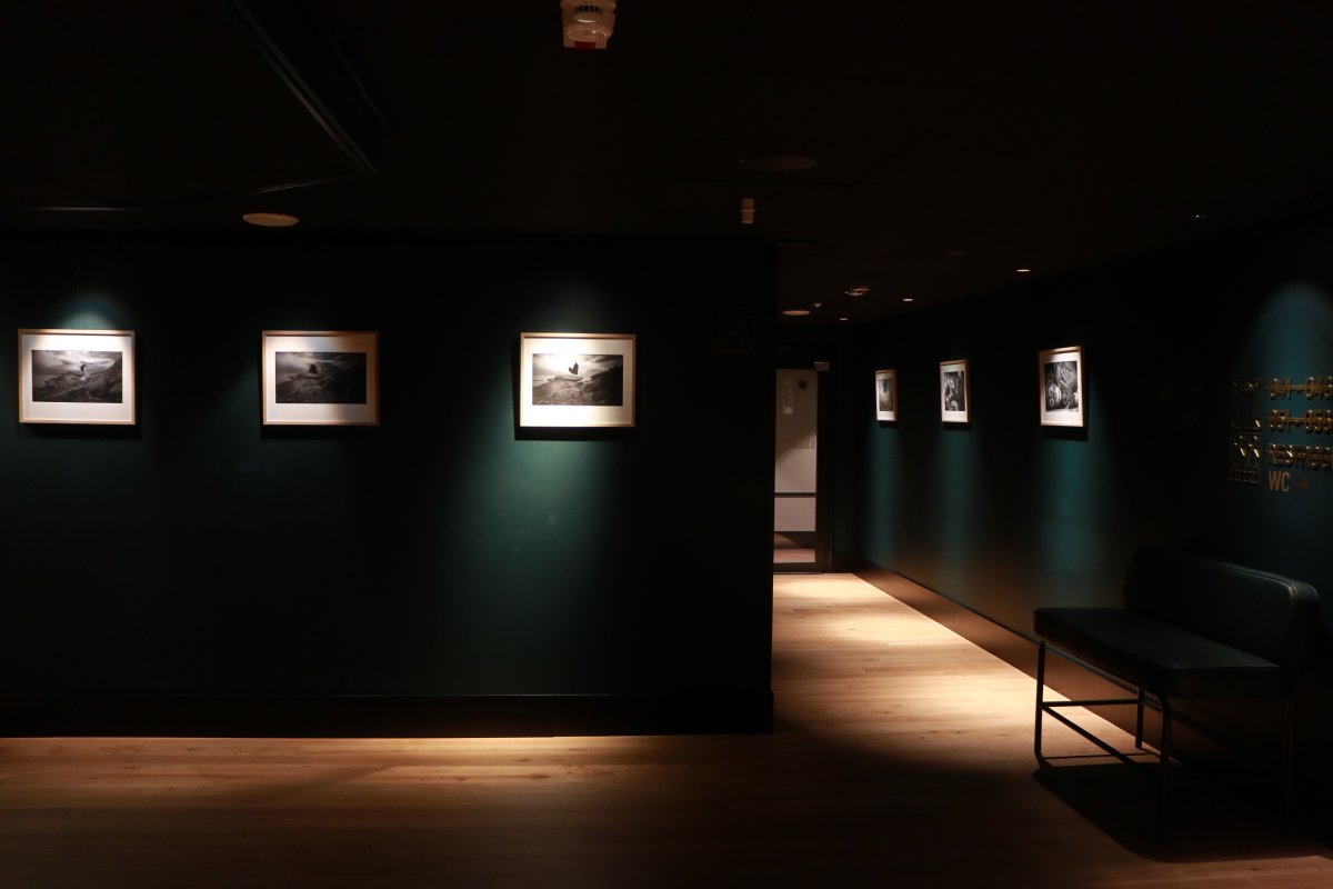 Exclusive photo exhibition from January 23-March 9, 2022 at Hotel #MarskibyScandic #nordic #photography  #LimitedEdition #helsinki #valokuva #culture https://t.co/leIuIrLVO7