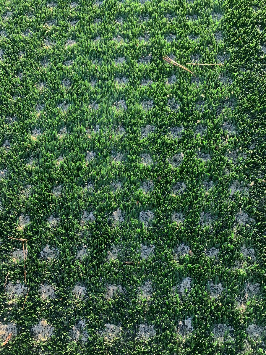 TurfPalmetto's tweet image. We did a synthetic turf today to see what would happen. The Demo went great and we are waiting for the results. This could be a game changer for sure! Will add more videos shortly!