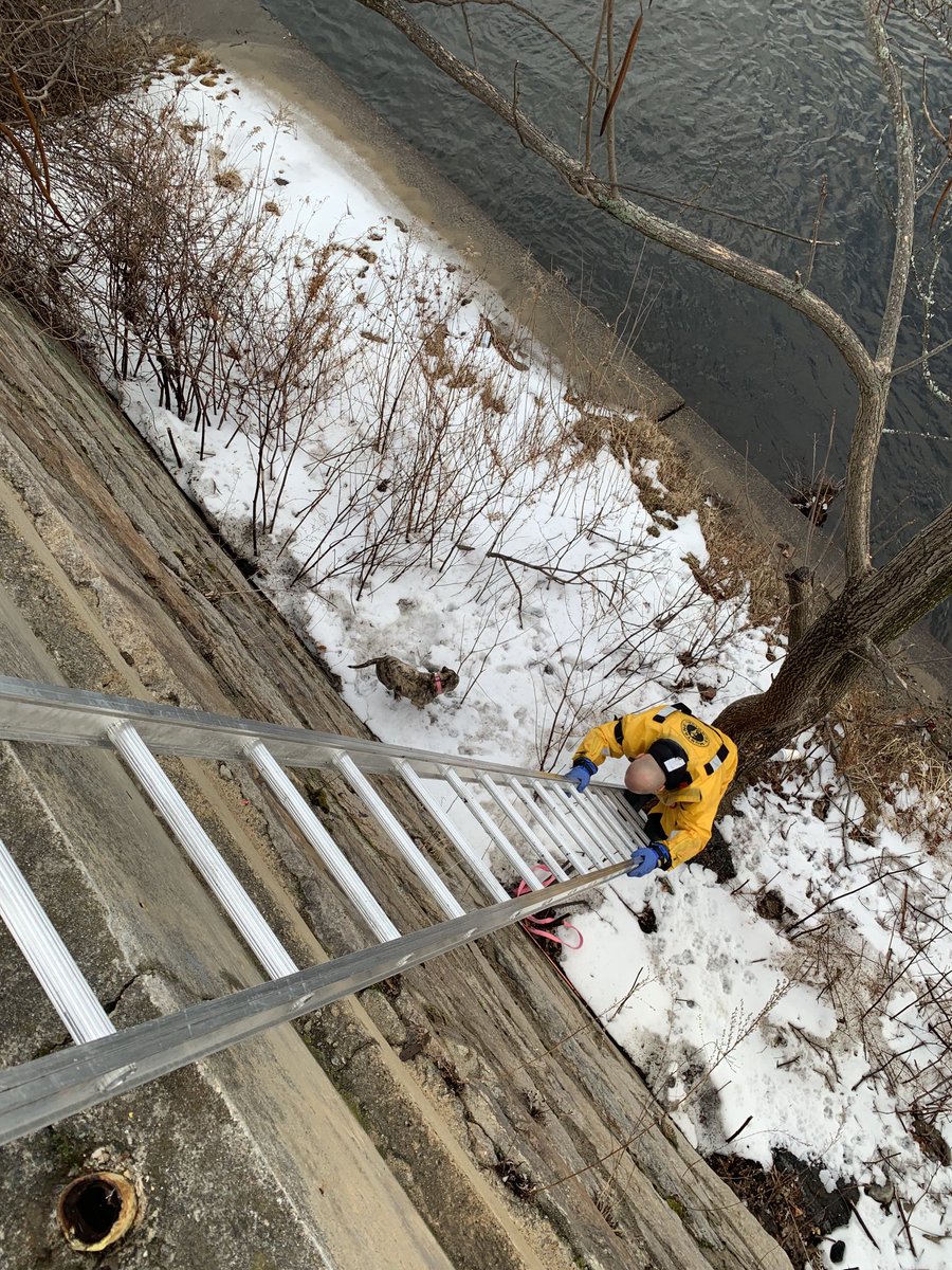 Bfmorty's tweet image. Lawrence FF Eric Humphrey of Ladder 5 makes quick work of a dog who fell 20’ over the sea wall. Other companies were strategically deployed to boat ramps and down river prepared for more difficult water rescue. Eric made it look easy and the team returned to service very quickly