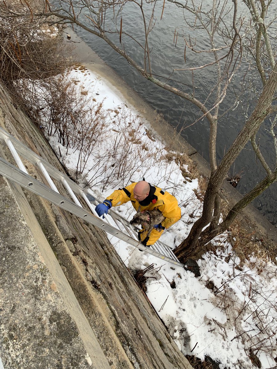 Bfmorty's tweet image. Lawrence FF Eric Humphrey of Ladder 5 makes quick work of a dog who fell 20’ over the sea wall. Other companies were strategically deployed to boat ramps and down river prepared for more difficult water rescue. Eric made it look easy and the team returned to service very quickly