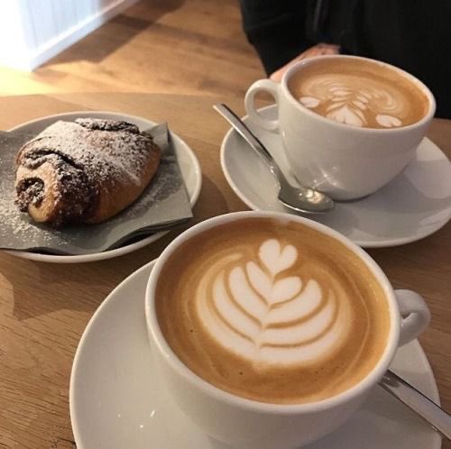 wellscoffeeFL's tweet photo. we love seeing your coffee pictures ! use #wellscoffeefl so we can see more https://t.co/RsceH1mpdZ