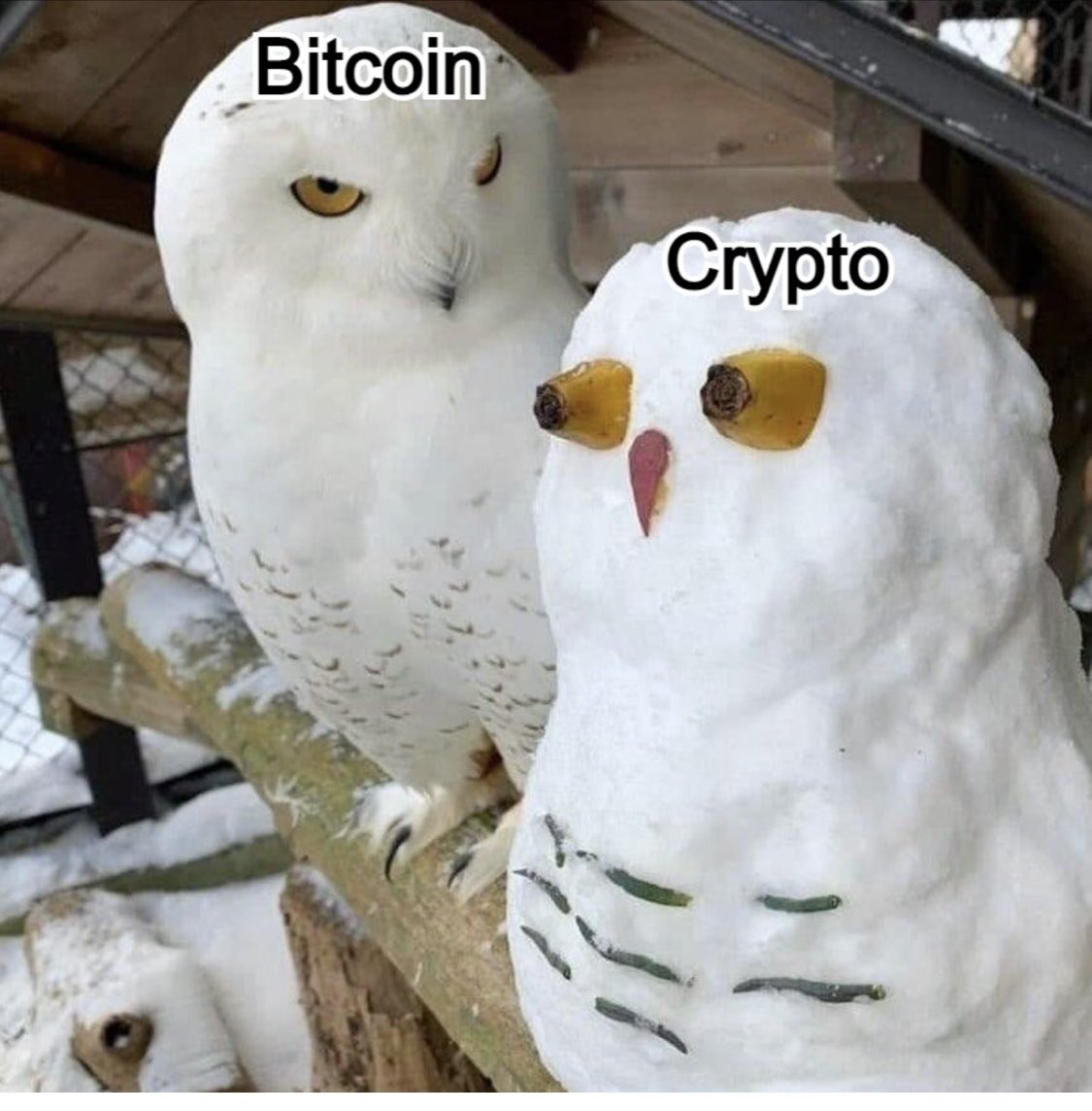 CorySwan's tweet photo. There's Bitcoin, and there's.... https://t.co/tdRfaYmyid