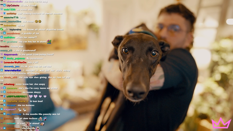 The Nasty Files📁 tweet media