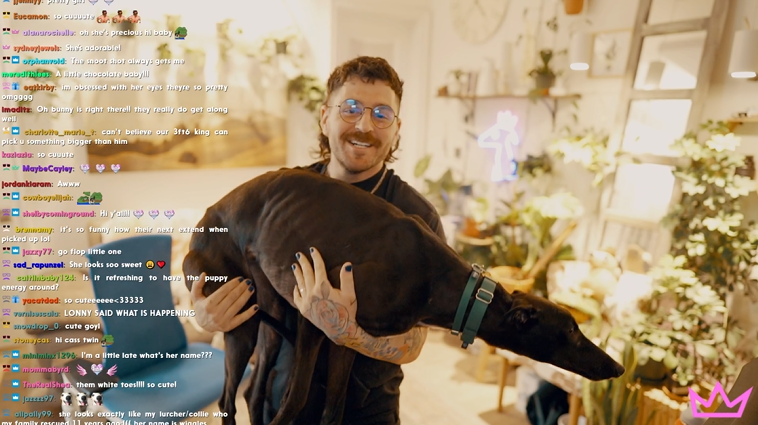 The Nasty Files📁 tweet media