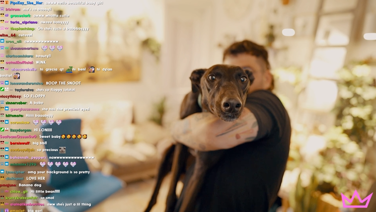 The Nasty Files📁 tweet media