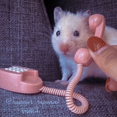 ostmemes's tweet photo. "to te falando jorginho eu mordi a menina e ela começou agir estranho" https://t.co/YG7NwdMl4v