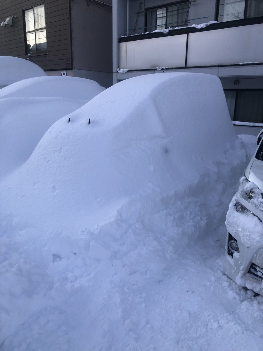 ふざけんなバカ
いい加減にしろバカ
＃大雪