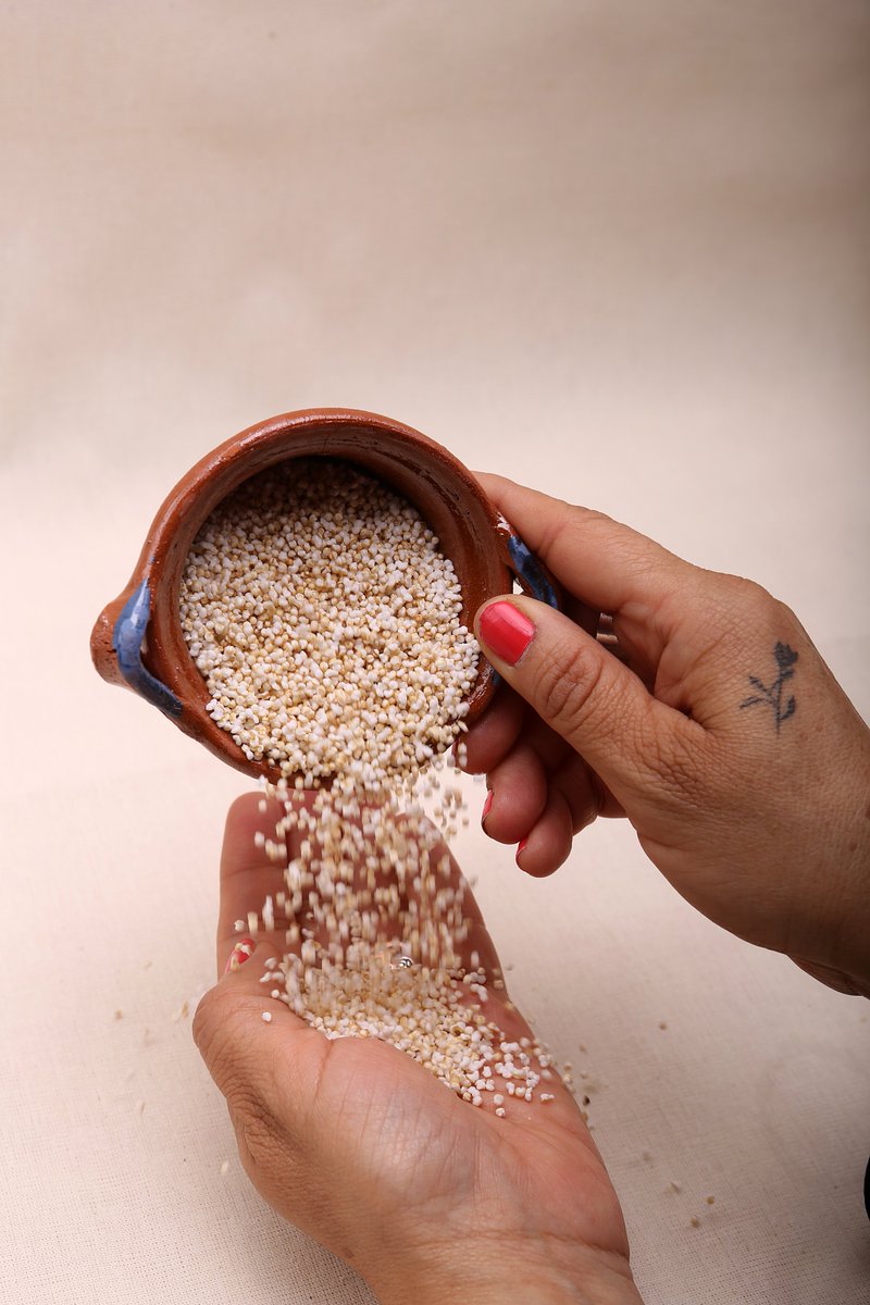 SegalmexDiconsa's tweet photo. Gracias a su alto contenido nutricional, el #amaranto contiene más proteínas que el maíz y el arroz, y 80% más que el trigo; es rica en vitaminas A, B, C, B1, B2 y B3, ácido fólico, calcio, hierro y fósforo https://t.co/Pblnwa07H6