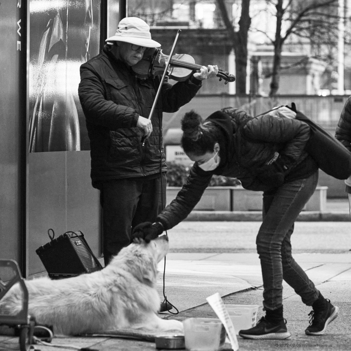 show_donttellme's tweet photo. Well Played #Violin and #Dog Patting...
Good for reducing blood pressure and feeling good. :)
#Busker at Robson and Hornby Streets, by #RobsonSquare, Downtown #Vancouver. #streetphotography https://t.co/Yi2ztAEO4O