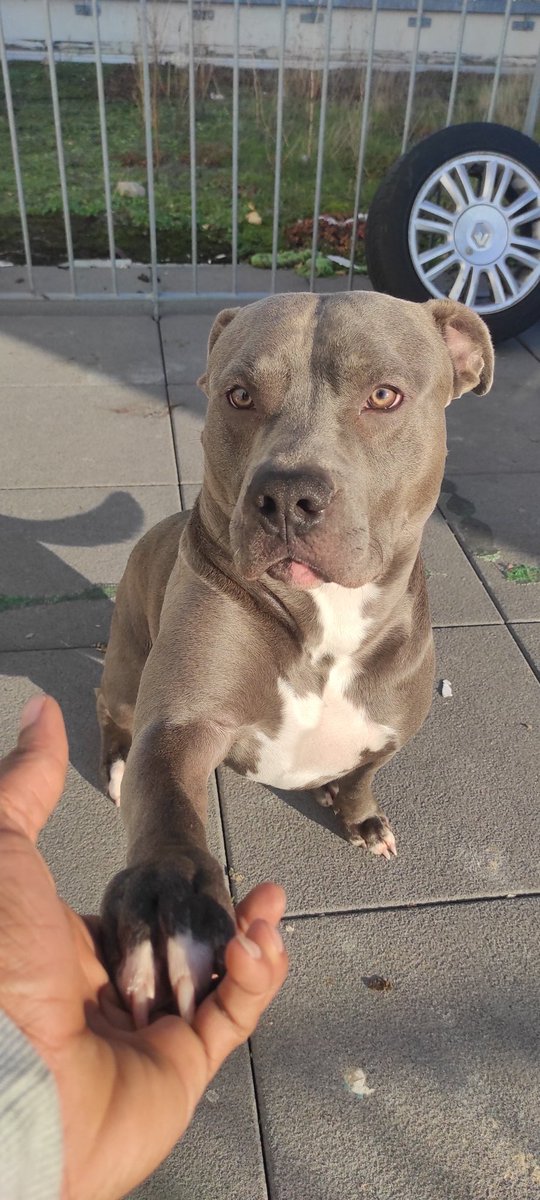 3Semaines
2Mois
8Mois 
16Mois

Mon bébé n'est plus un bébé 🥲♥️