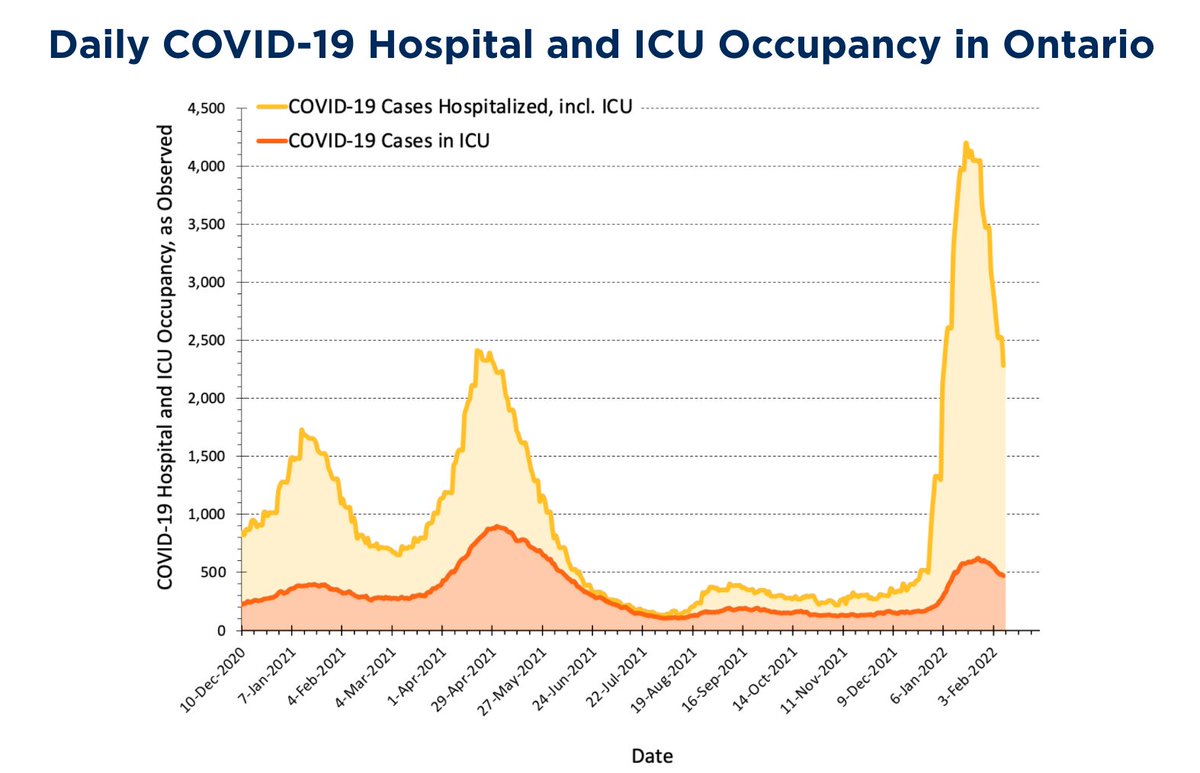 Isaac Bogoch tweet media