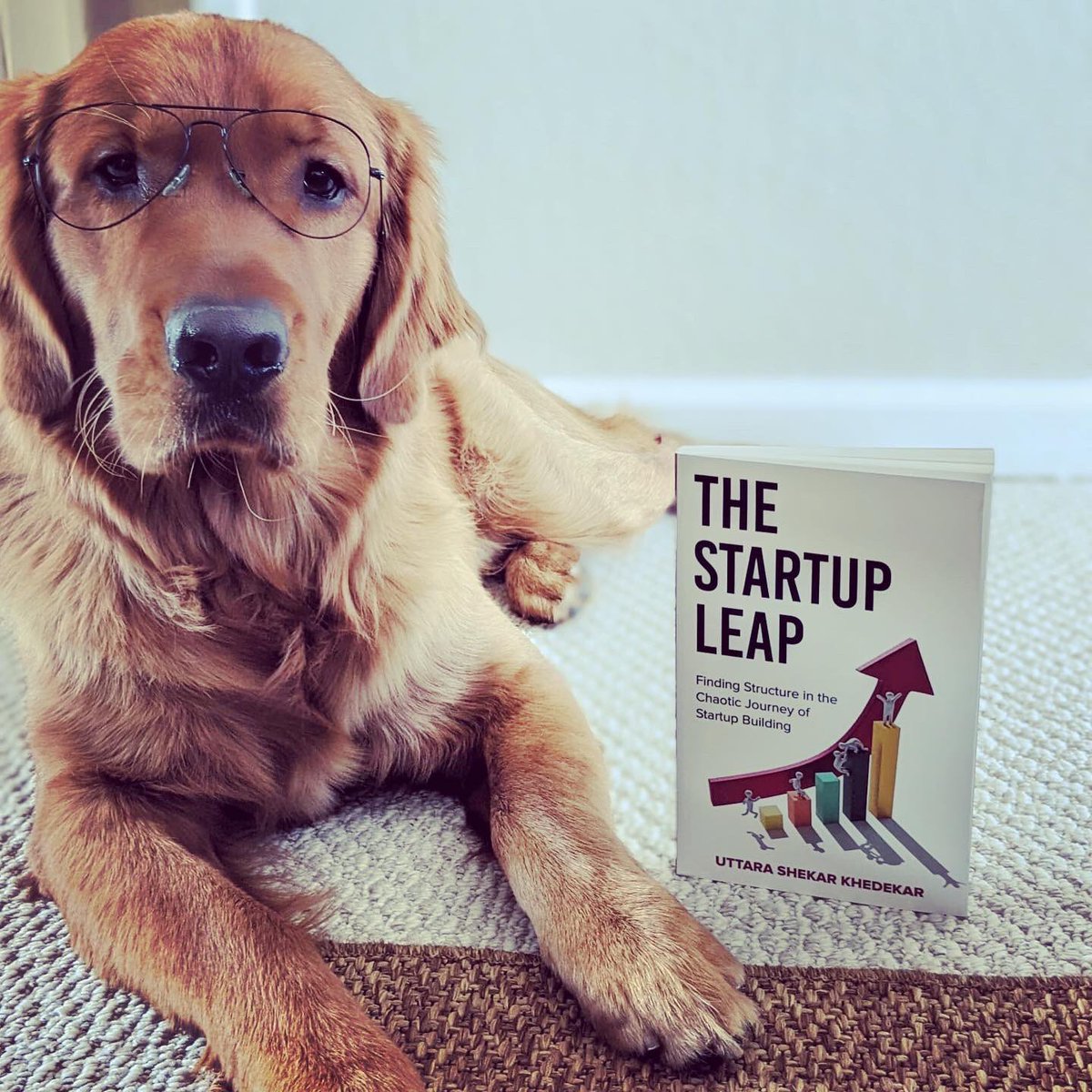 UttaraShekar's tweet photo. Look woof else is reading my pawesome new book?? 🐶🐶

#dogsoftwitter #dogs #startupindia #startups #thestartupleap #newbooks #woof #pawesome #AdoptDontShop #NewBook https://t.co/dRYtBTHZv7