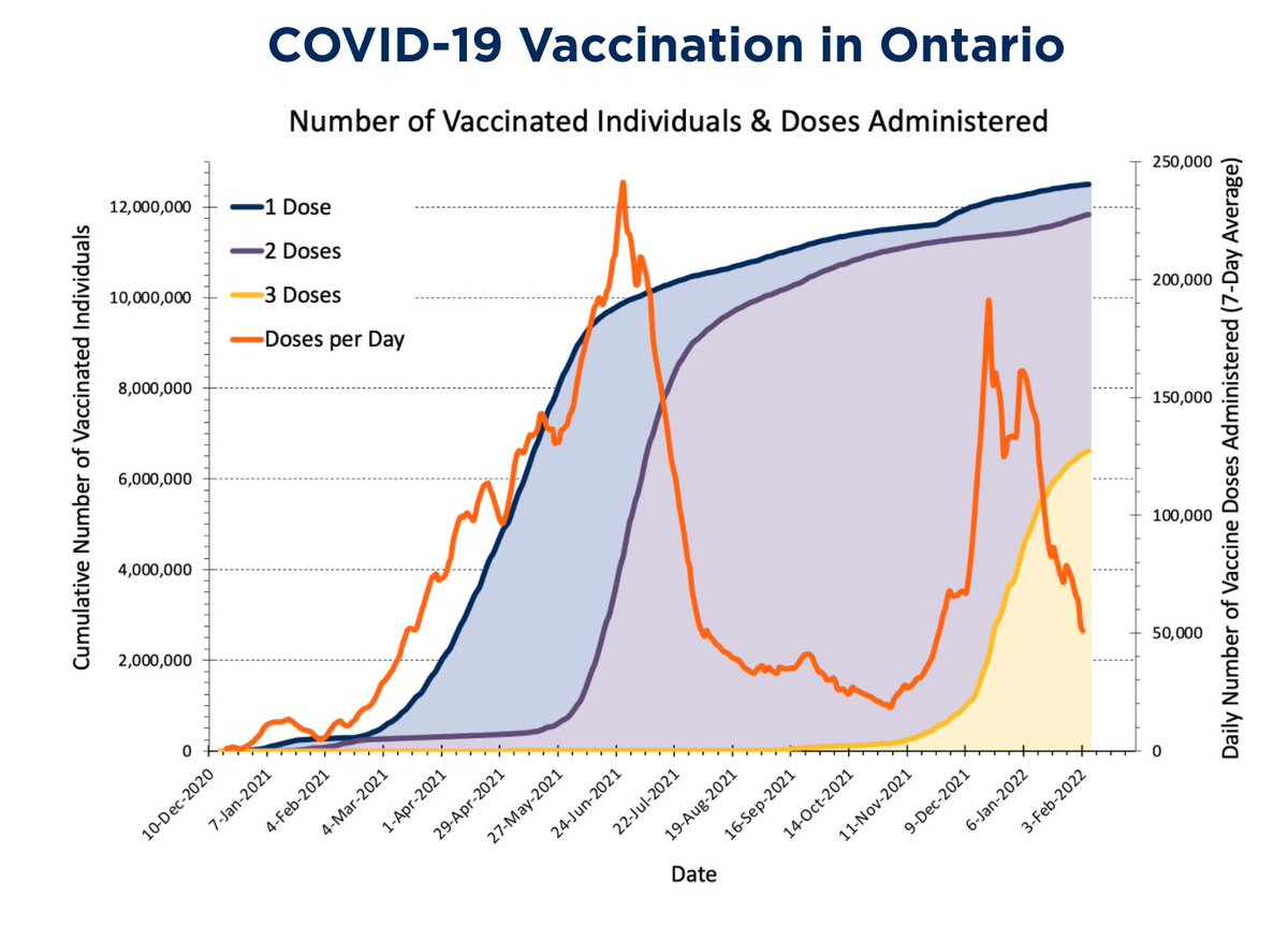 Isaac Bogoch tweet media