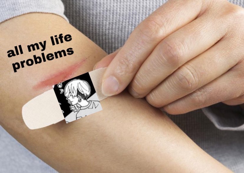 daily pet shop (@dailypetshop) on Twitter photo 