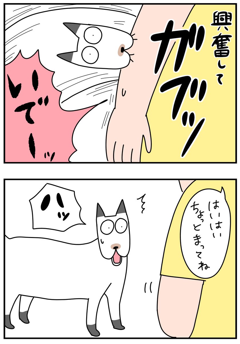 ジョルノ(猫)の爪切りの始まりと終わり
https://t.co/H4MS2Rmiay 