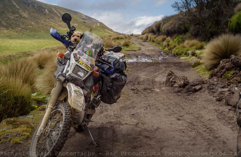 RafProdPhoto's tweet photo. That kind of ADVenture you wish it never happens again (because the tough part) and hopefully happens each and every day at the same time! https://t.co/9UjVmMk3pY